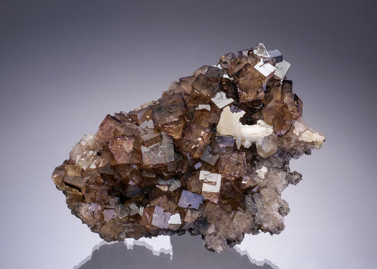 CC34916 specimen image