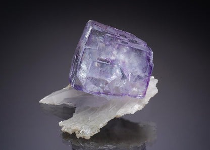 CC34937 specimen image