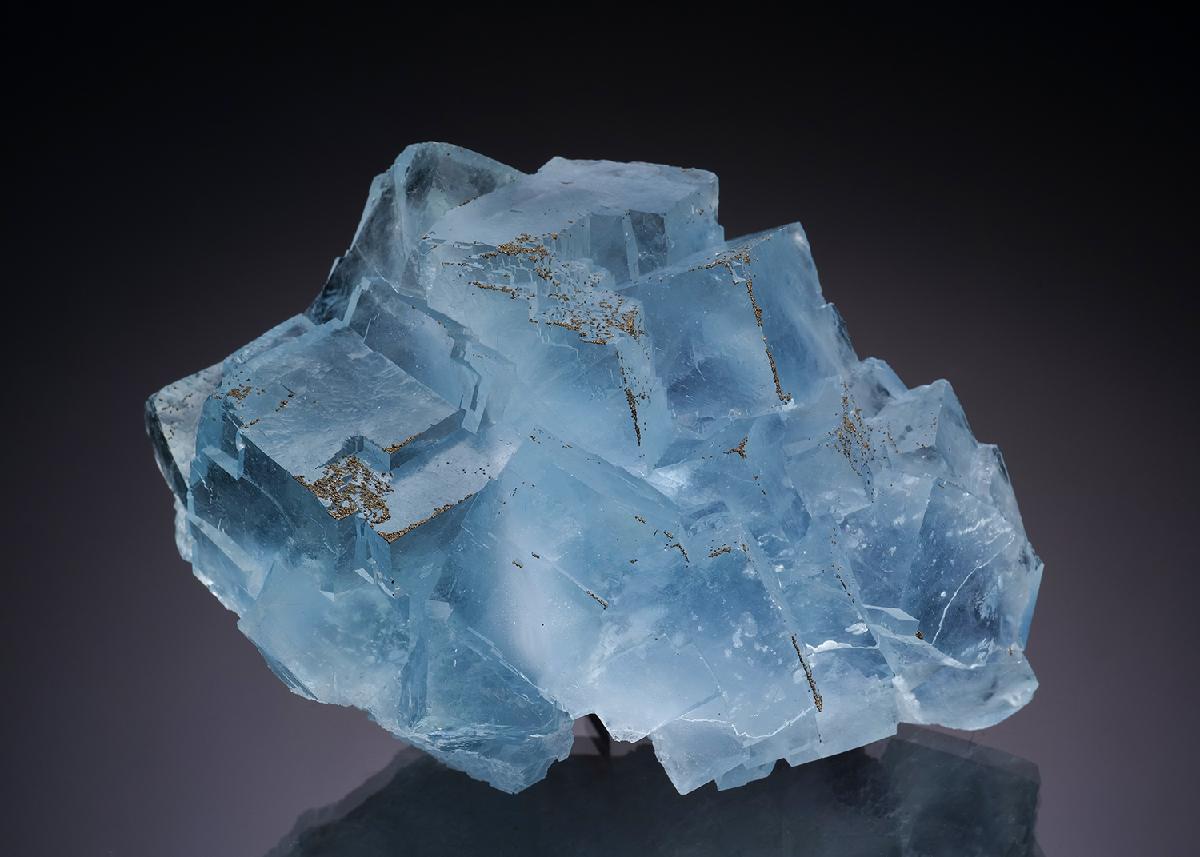 CC34955 specimen image