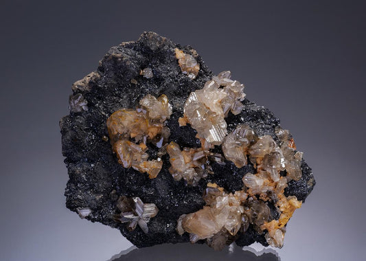 CC35006 specimen image