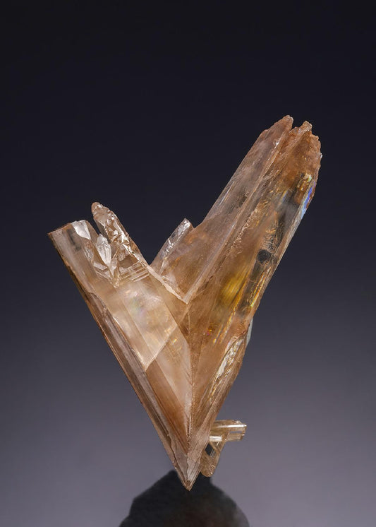 CC35027 specimen image