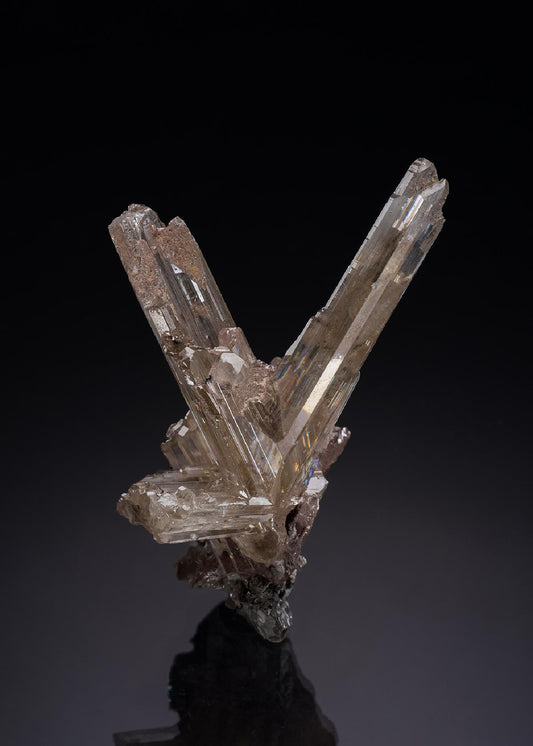 CC35039 specimen image