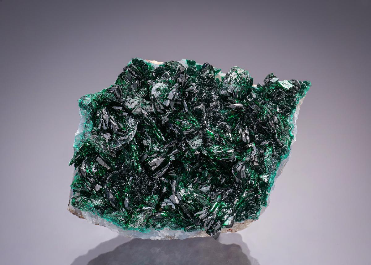 CC35048 specimen image