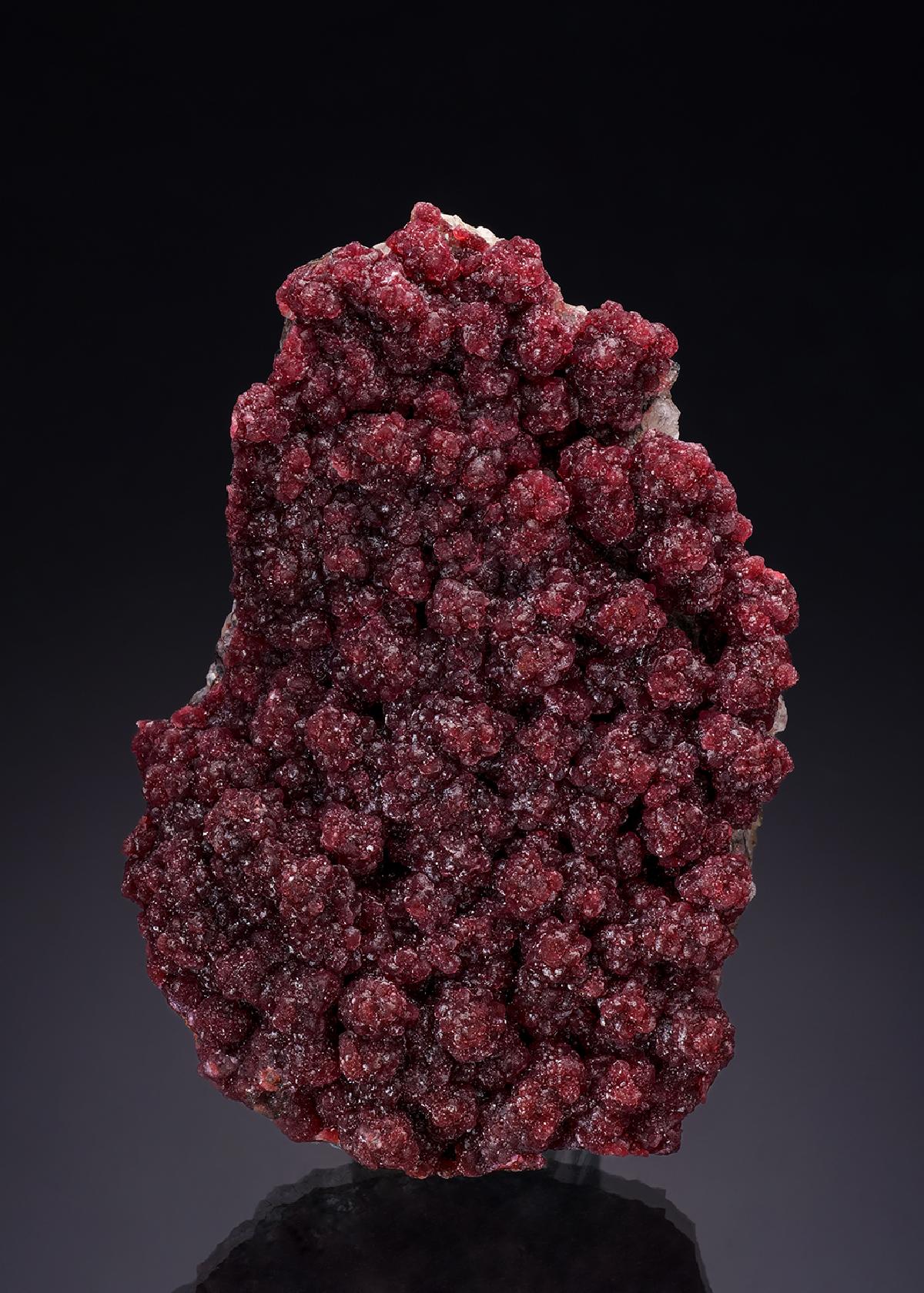 CC35069 specimen image