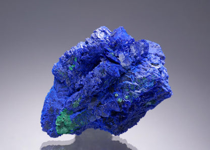 CC35099 specimen image