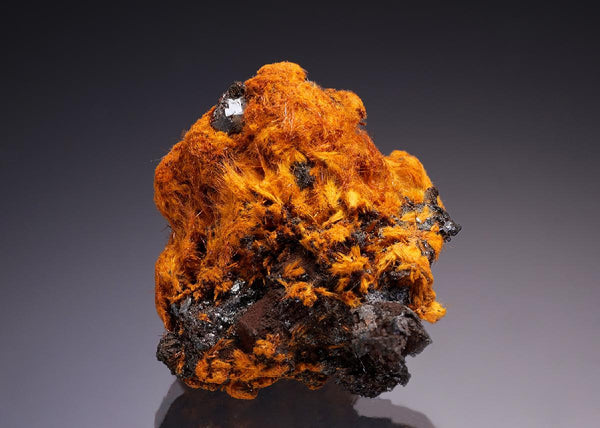 CC35108 specimen image