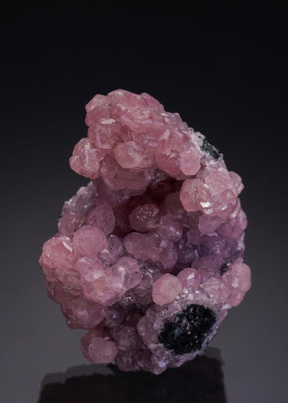 CC35111 specimen image