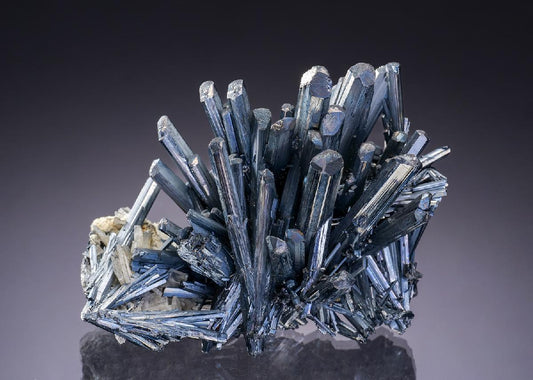 CC35114 specimen image