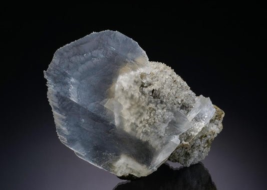 CC35129 specimen image
