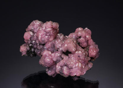 CC35150 specimen image