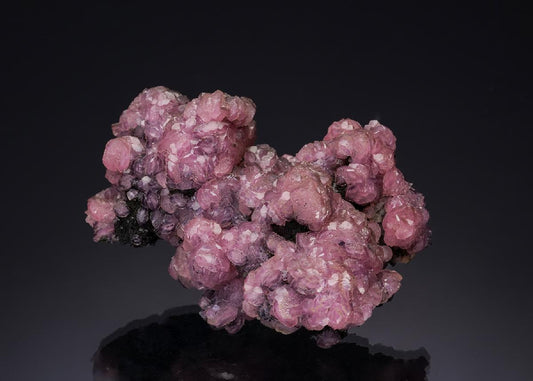 CC35150 specimen image