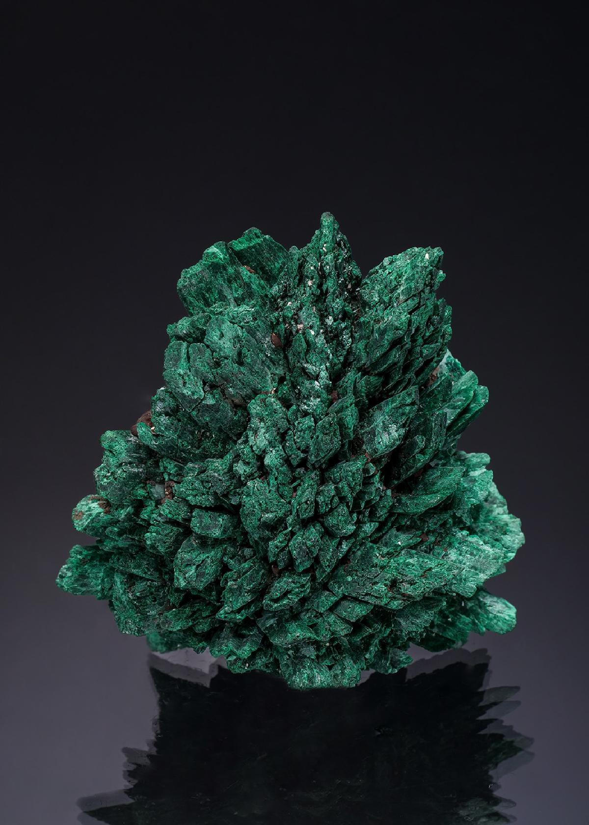 CC35153 specimen image
