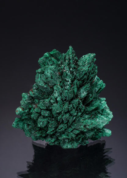 CC35153 specimen image