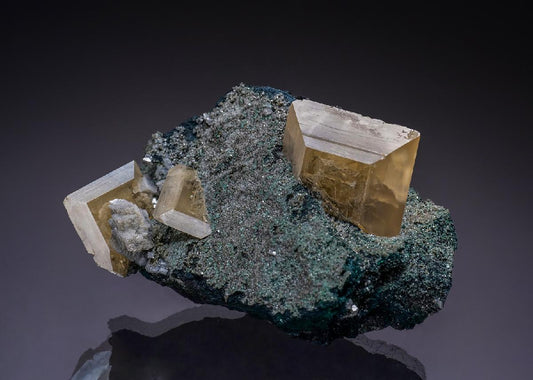 CC35189 specimen image