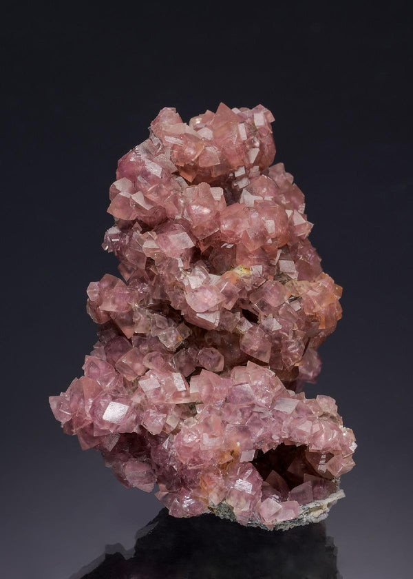 CC35234 specimen image