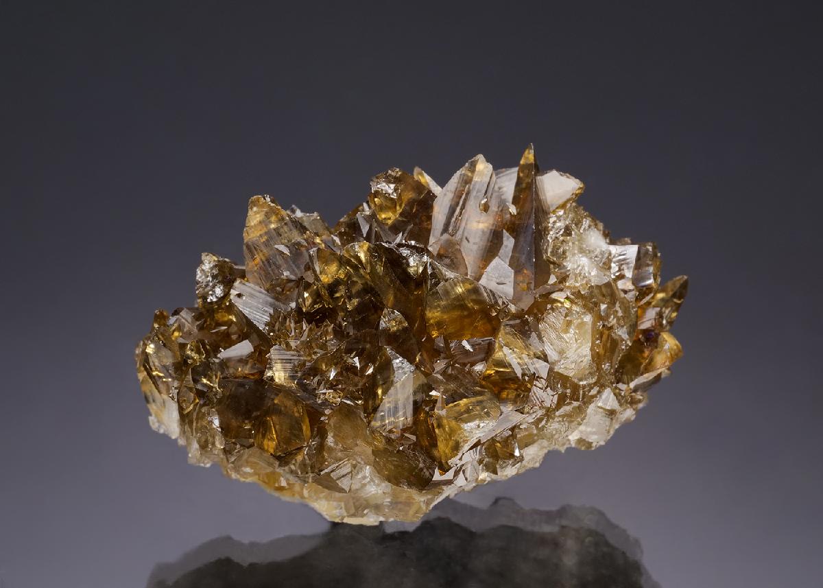 CC35252 specimen image