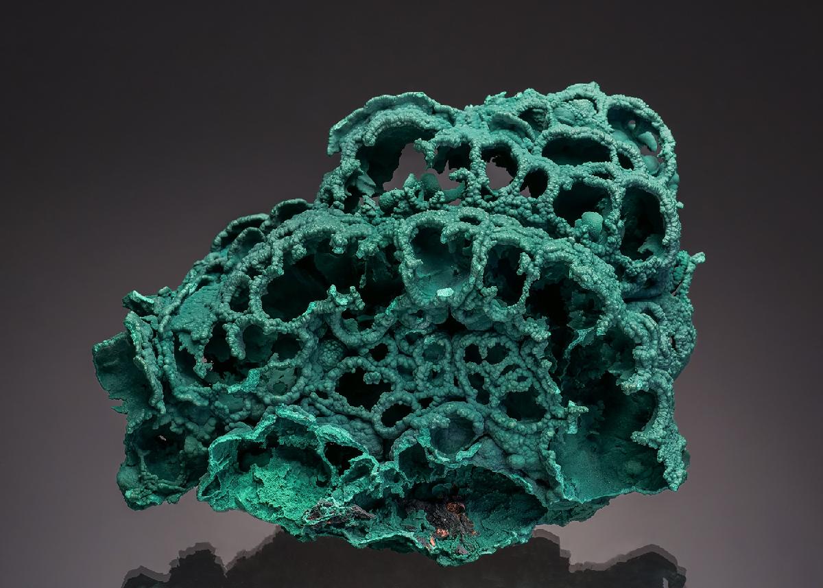 CC35255 specimen image