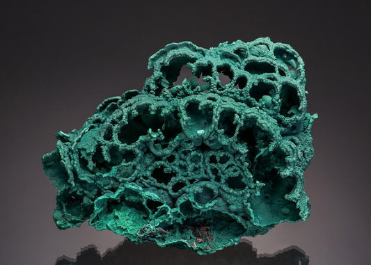 CC35255 specimen image