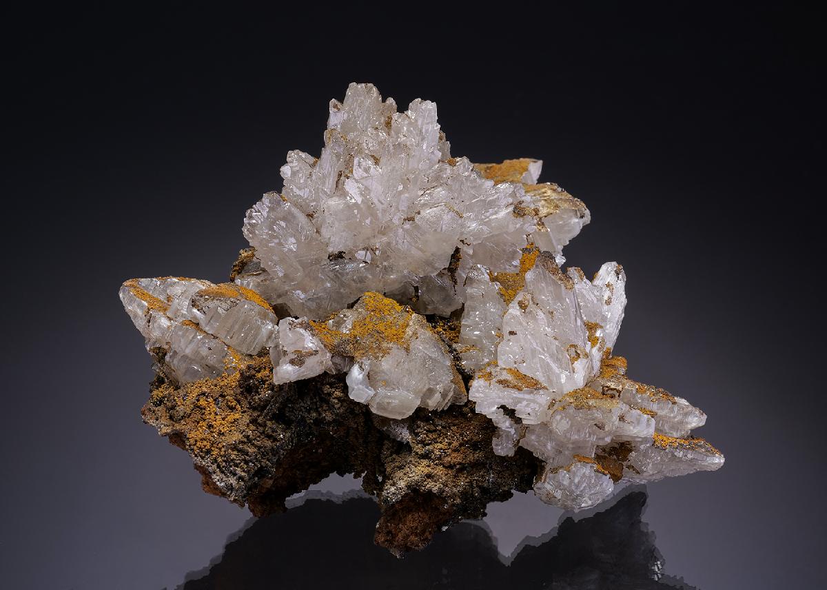 CC35258 specimen image