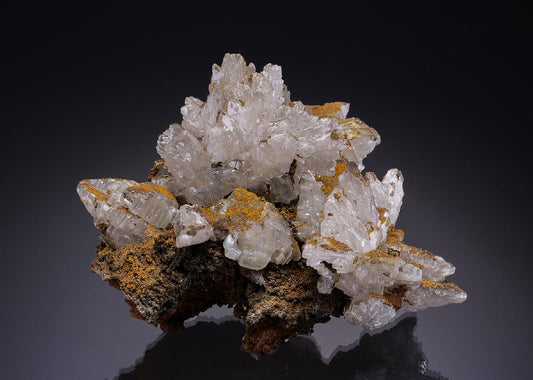 CC35258 specimen image