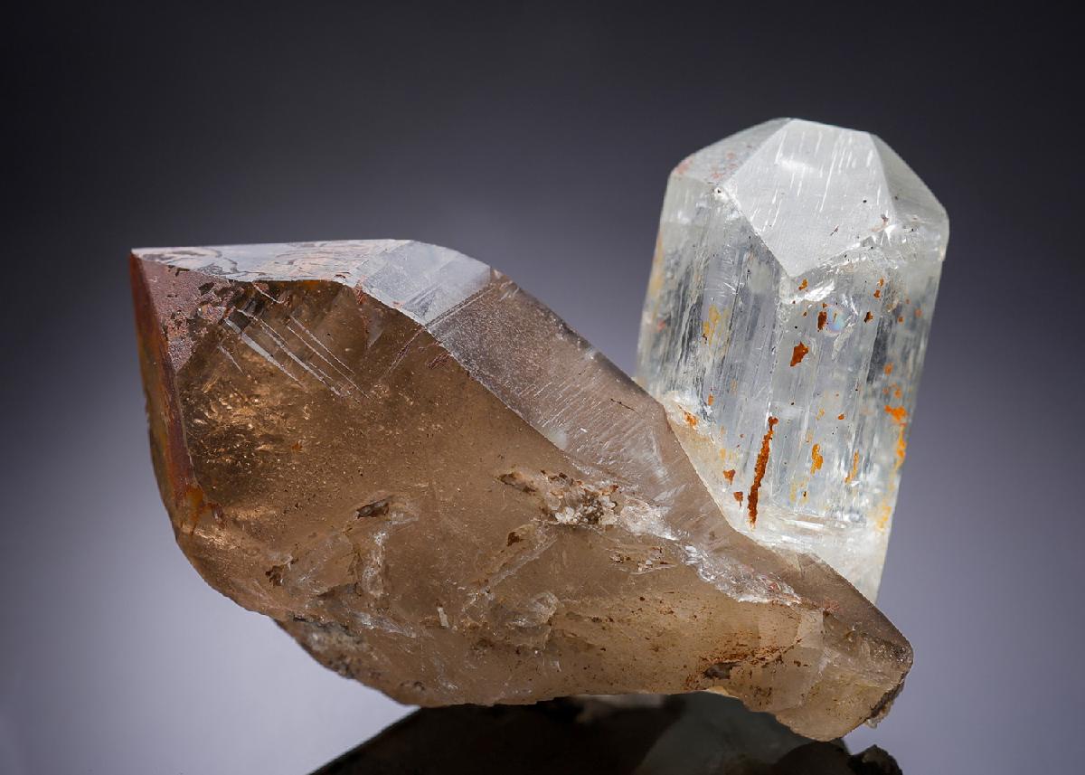 CC35381 specimen image