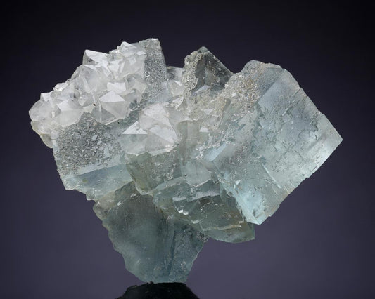 CC35531 specimen image