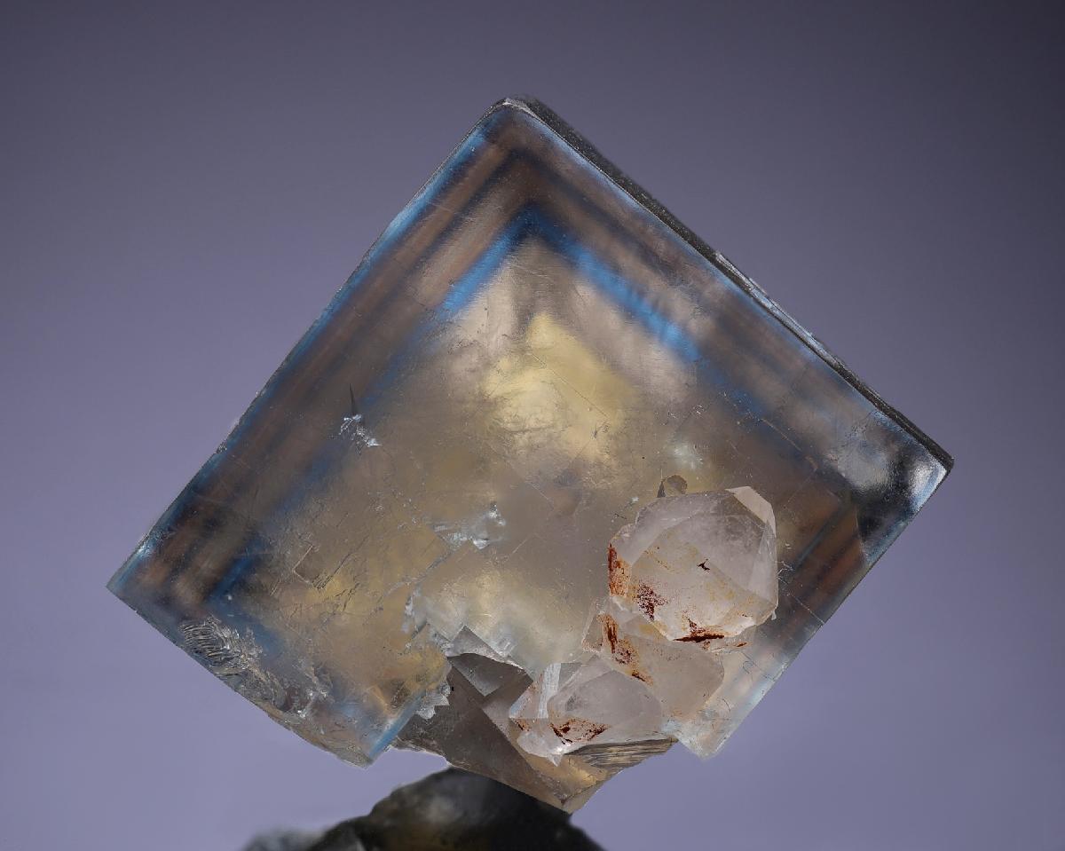 CC35555 specimen image