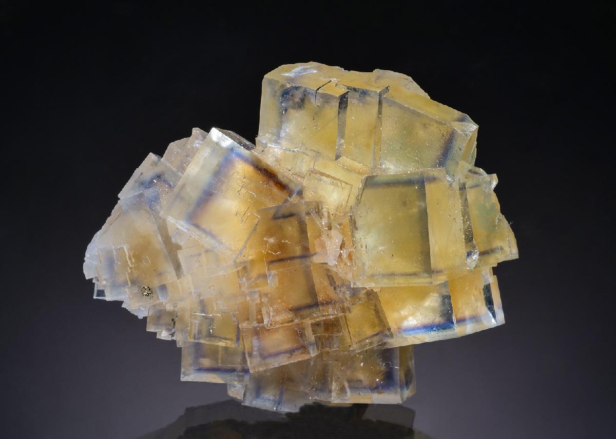 CC35600 specimen image