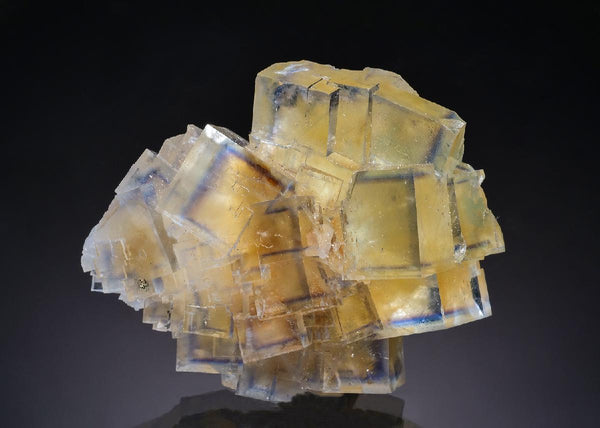 CC35600 specimen image