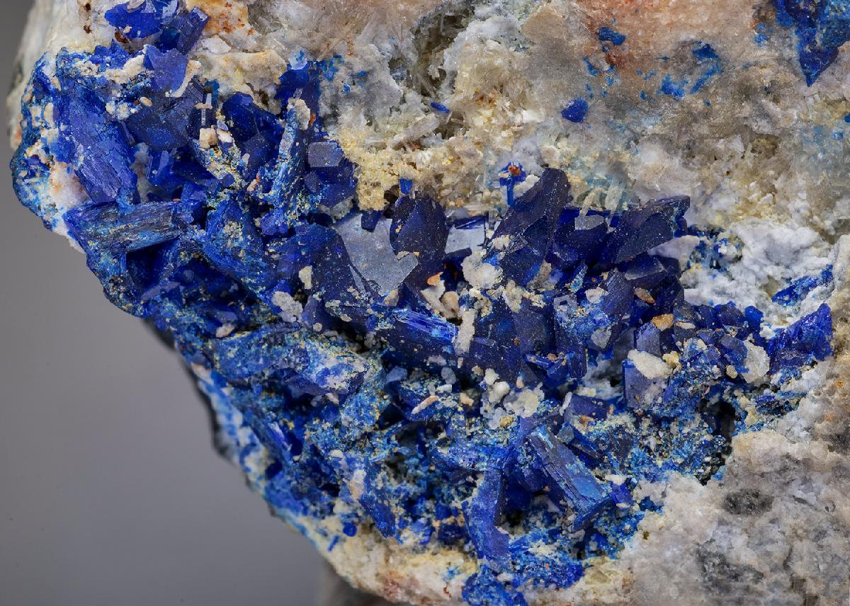 CC35642 specimen image