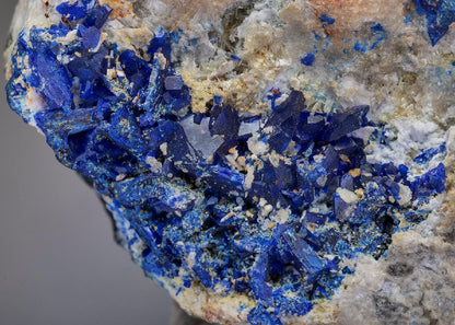 CC35642 specimen image