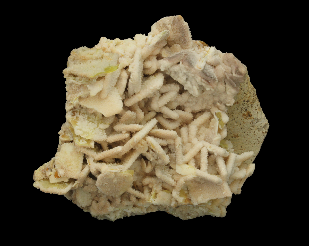 CC3567 specimen image