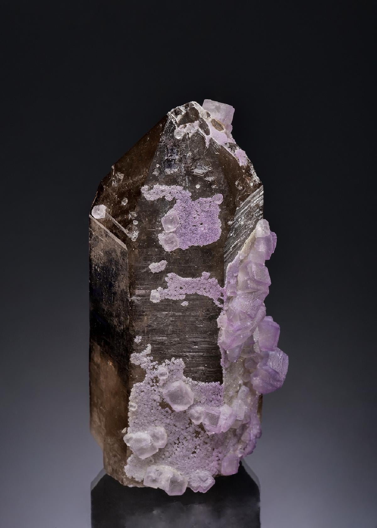 CC35672 specimen image