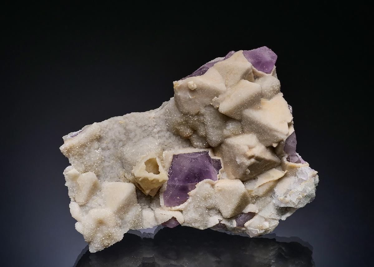 CC35681 specimen image