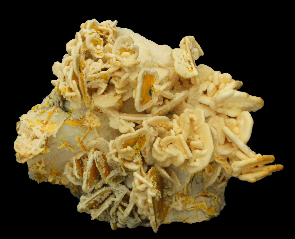CC3569 specimen image
