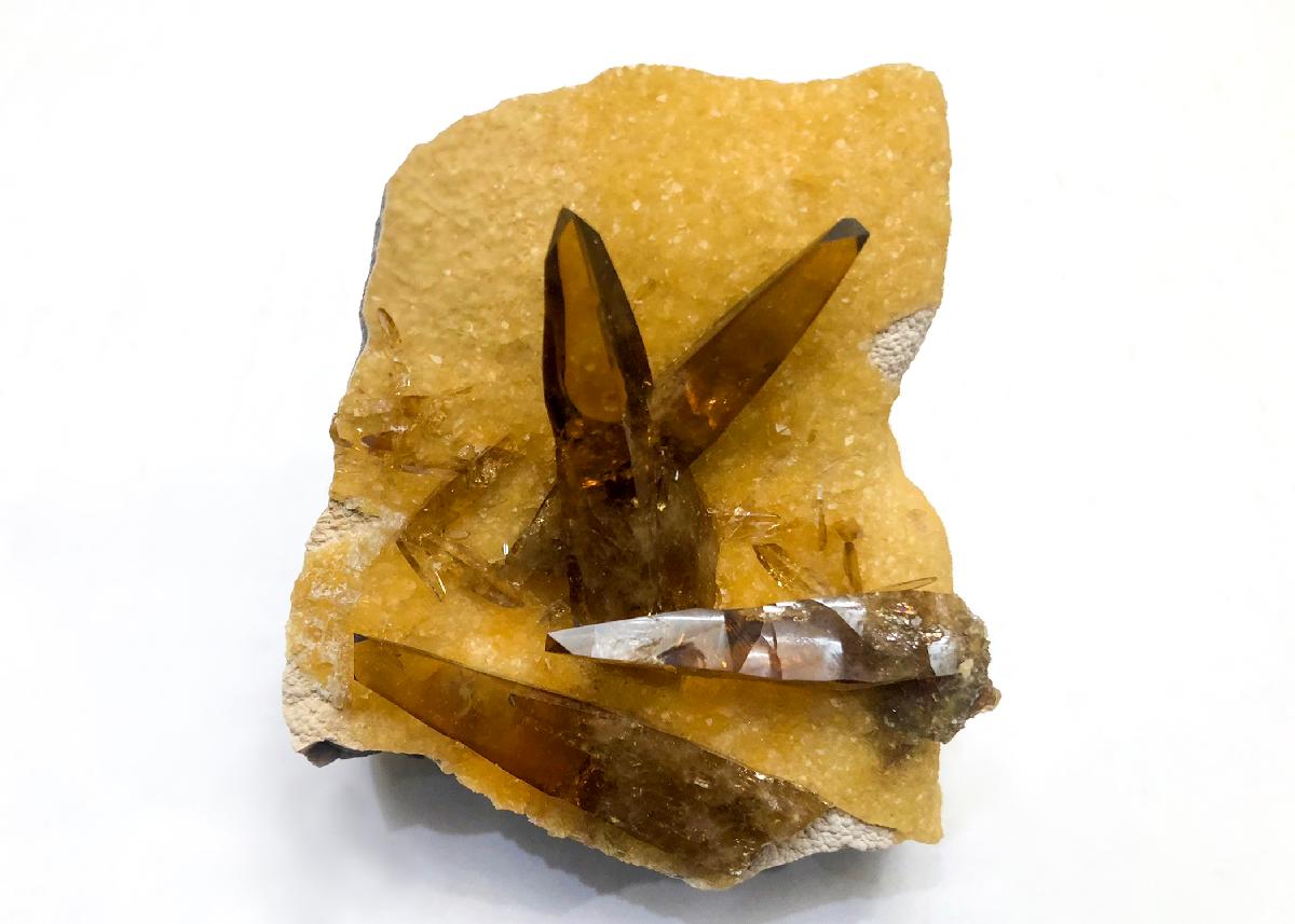 CC35754 specimen image