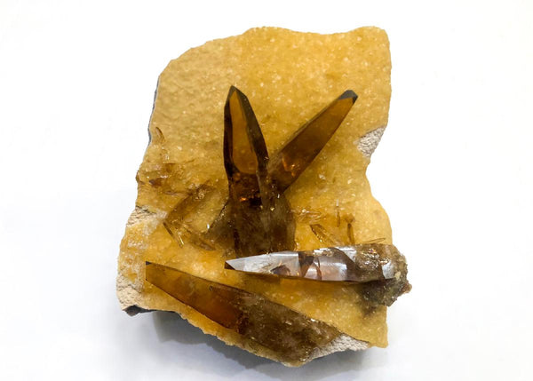 CC35754 specimen image