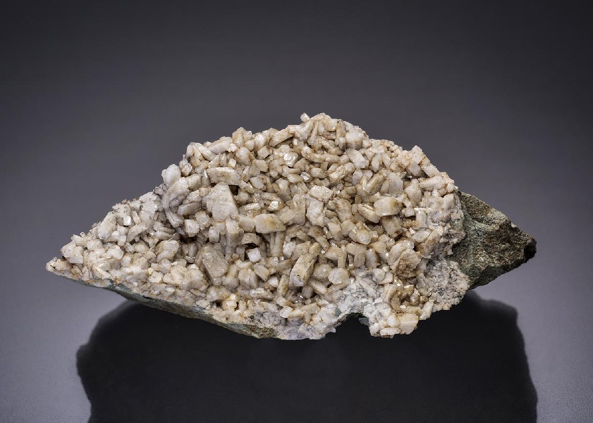 CC35883 specimen image