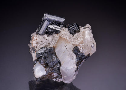 CC35908 specimen image