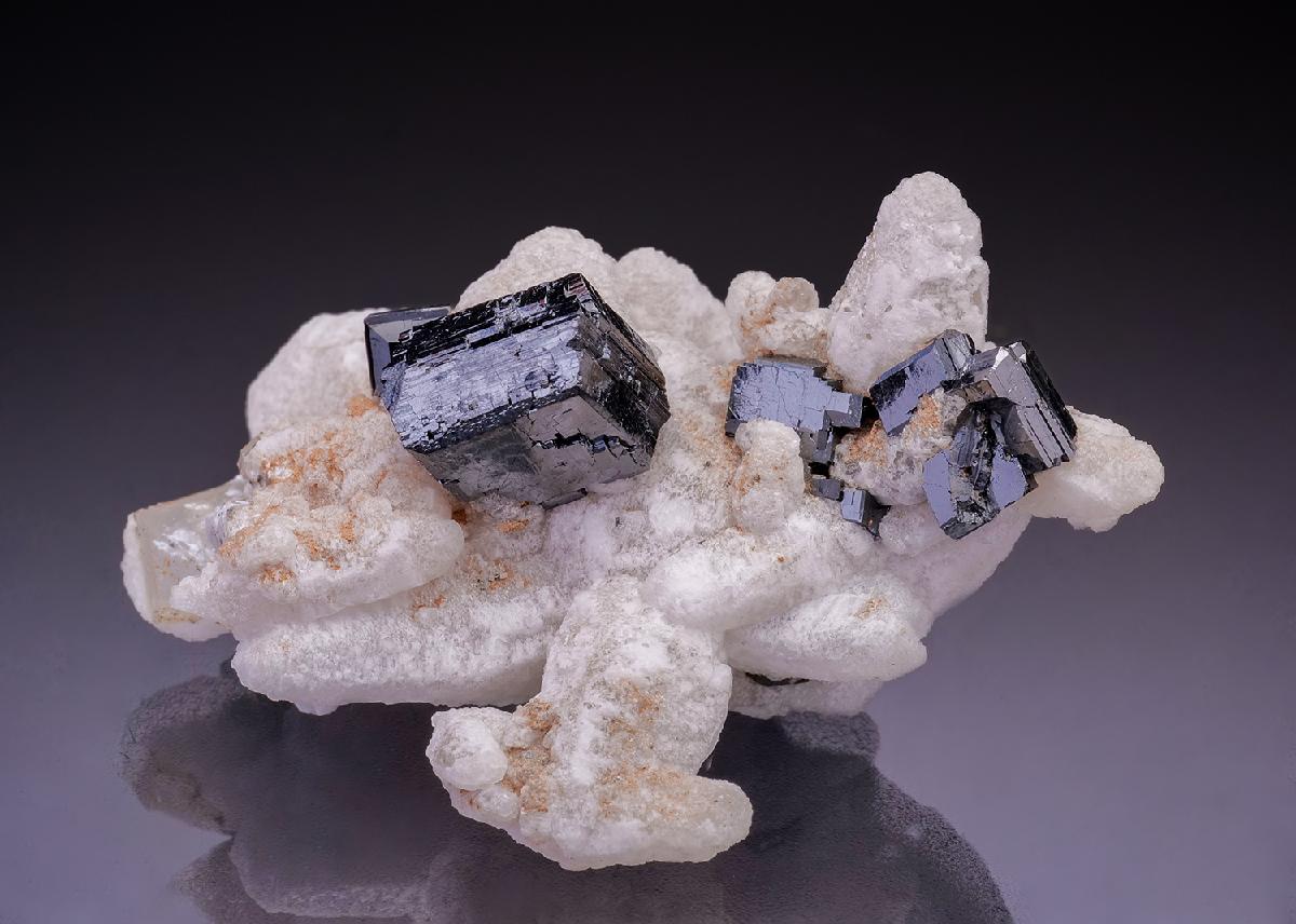 CC35910 specimen image