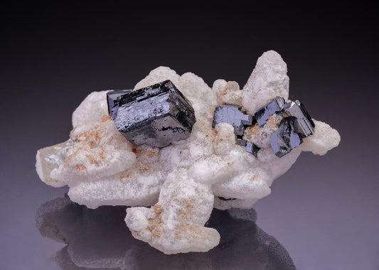CC35910 specimen image