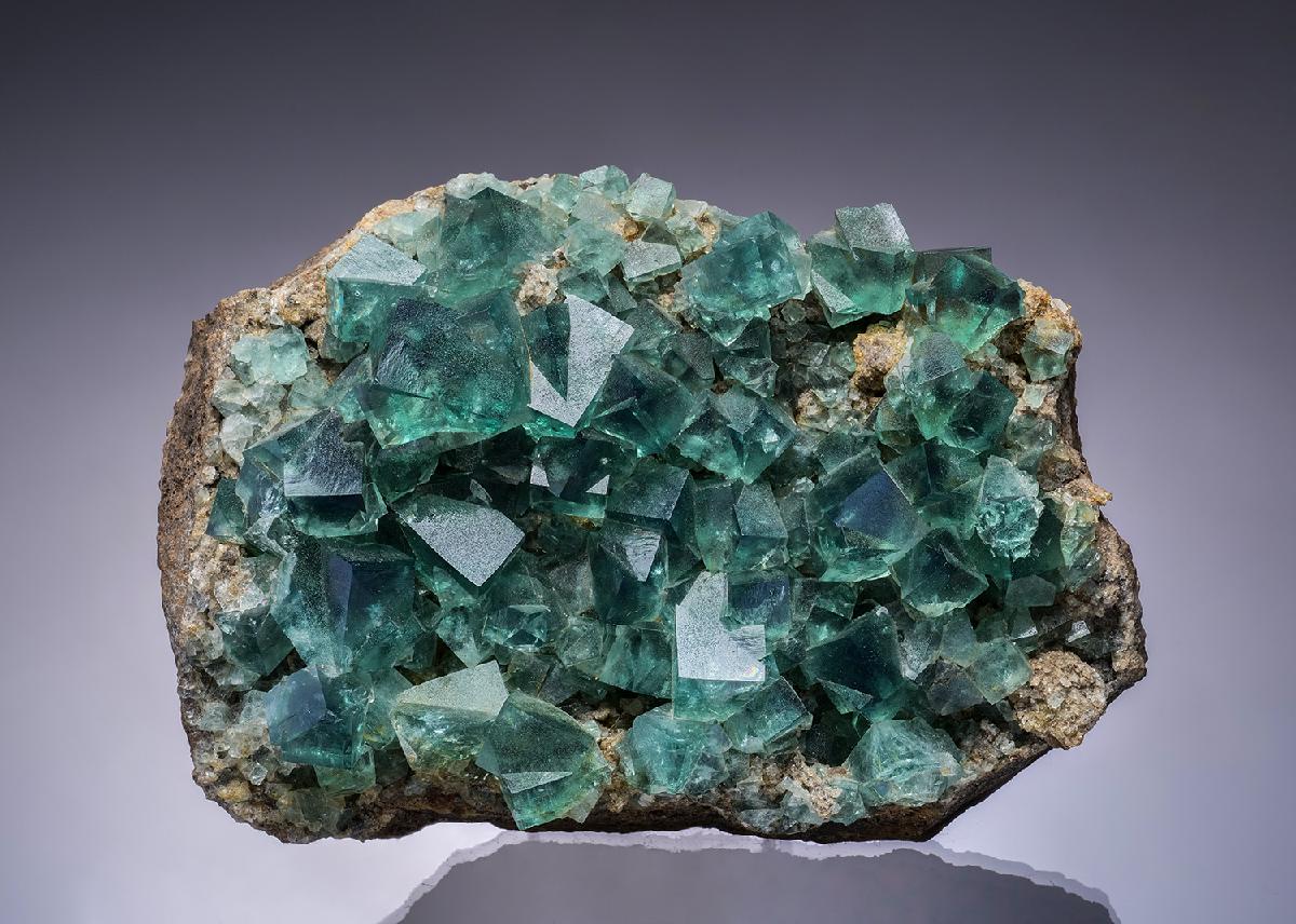 CC3594 specimen image