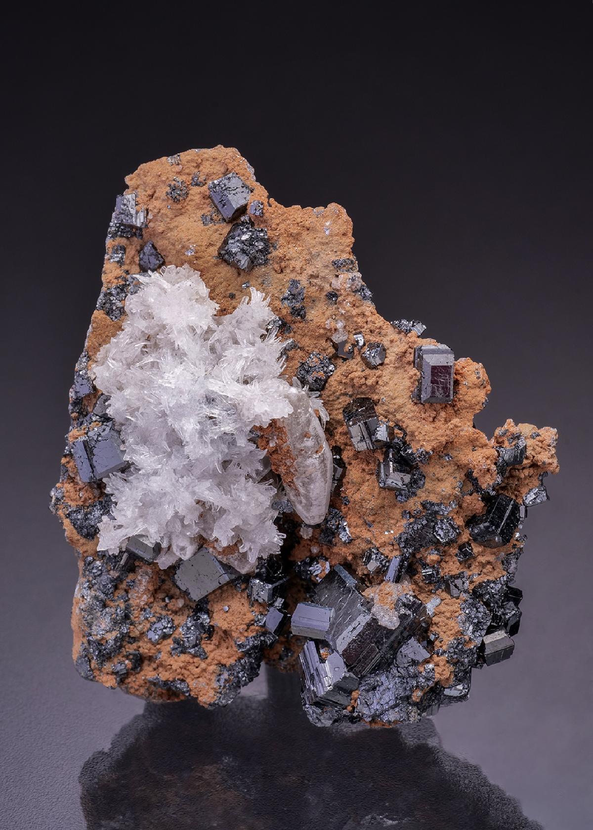 CC35942 specimen image