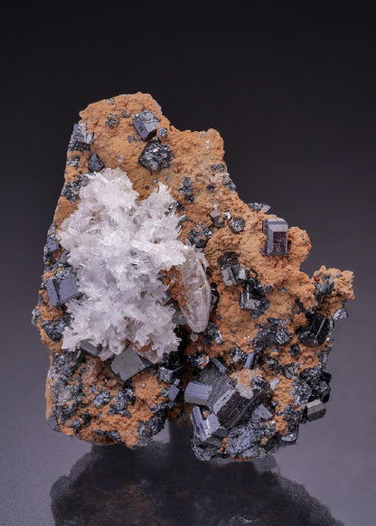 CC35942 specimen image