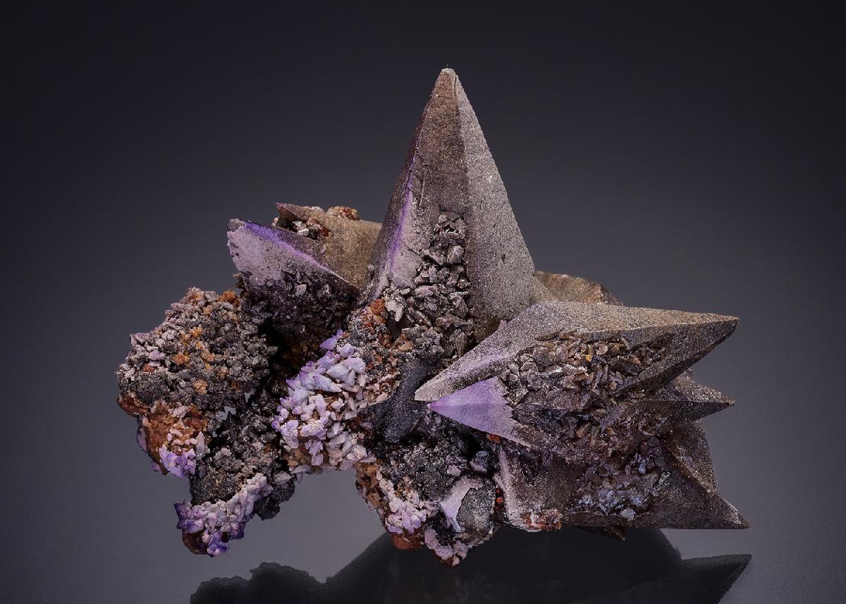 CC36042 specimen image