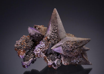 CC36042 specimen image