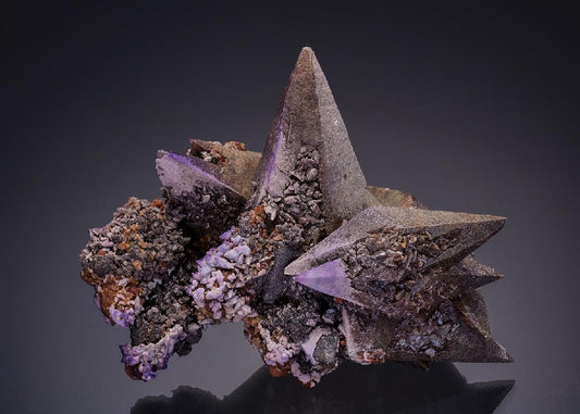 CC36042 specimen image