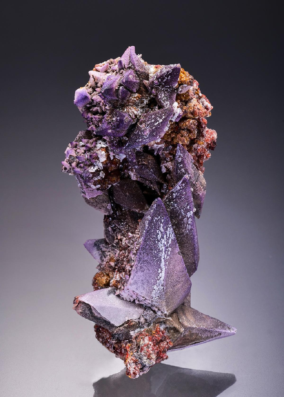 CC36044 specimen image