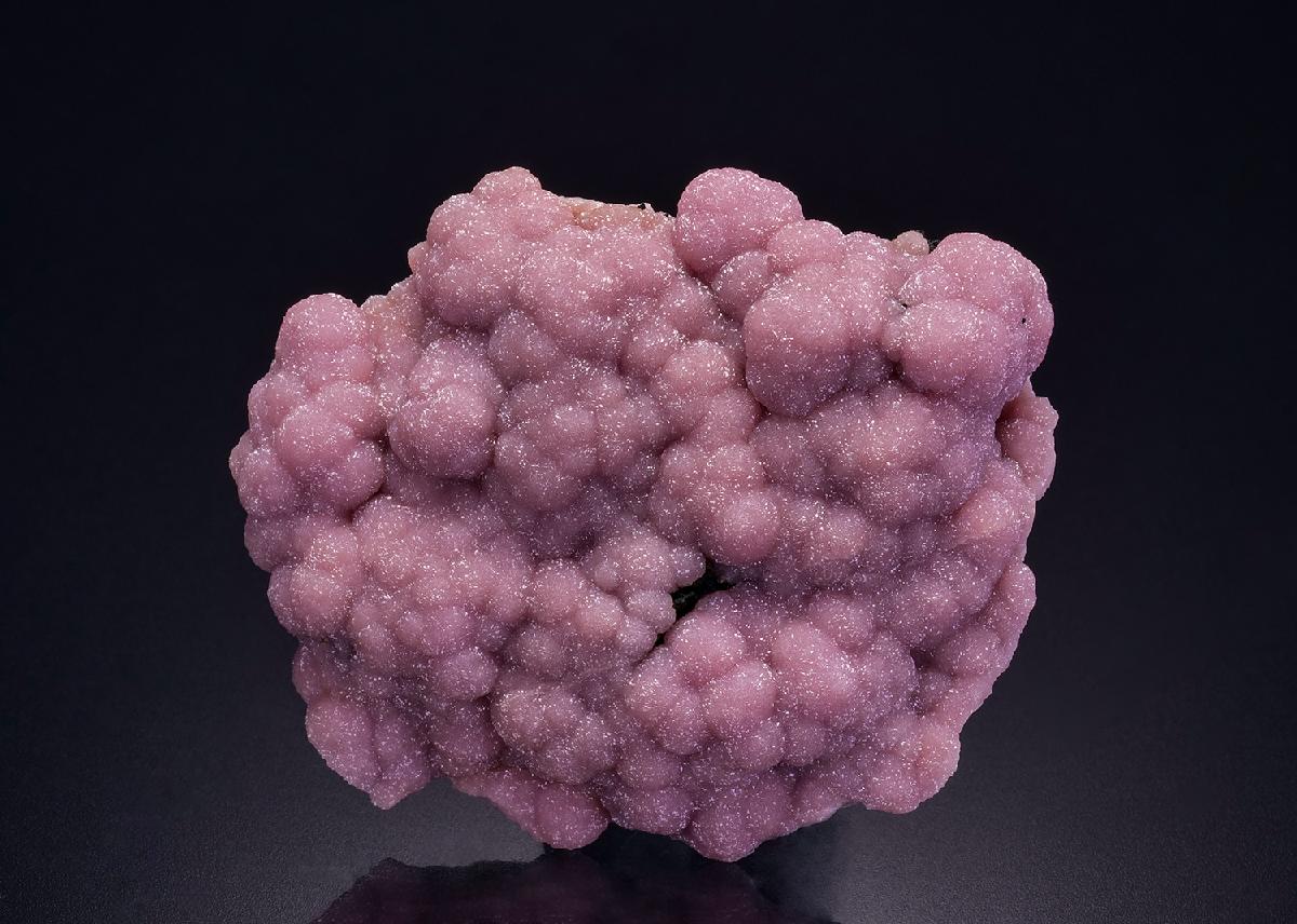 CC36144 specimen image
