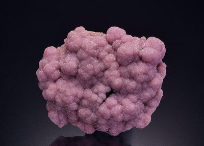 CC36144 specimen image